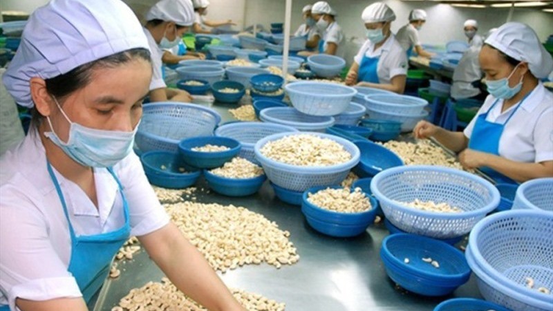 Sau Italy, cảnh báo nóng nguy cơ lừa đảo xuất khẩu từ thị trường Algeria