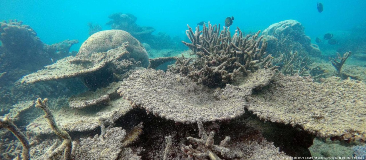 Điểm tin thế giới sáng 21/4: