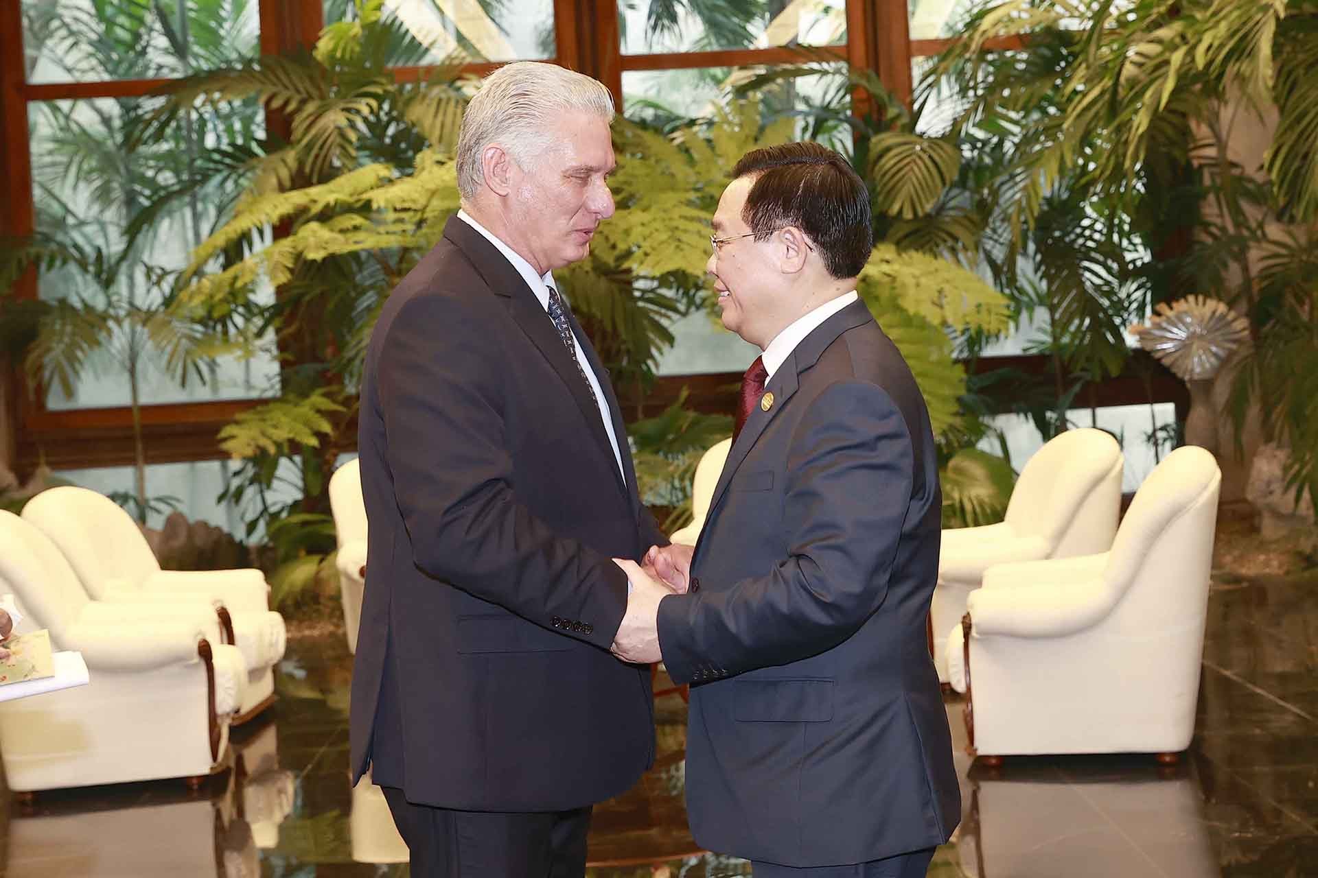 Chủ tịch Quốc hội Vương Đình Huệ hội kiến Bí thư thứ nhất Đảng Cộng sản Cuba, Chủ tịch nước Cộng hòa Cuba Miguel Díaz-Canel. (Nguồn: TTXVN)