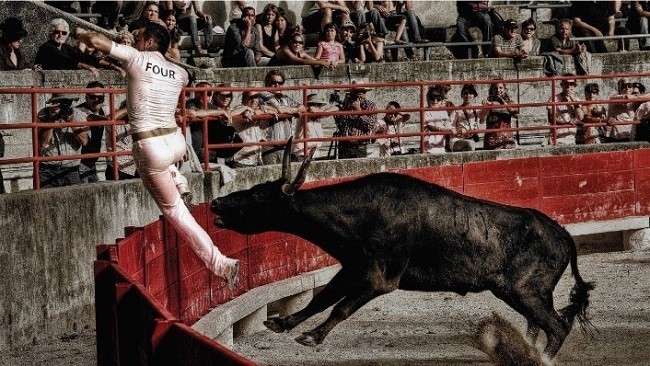 Khai mạc triển lãm ảnh 'Pháp-Việt Nam: Cái nhìn giao thoa'