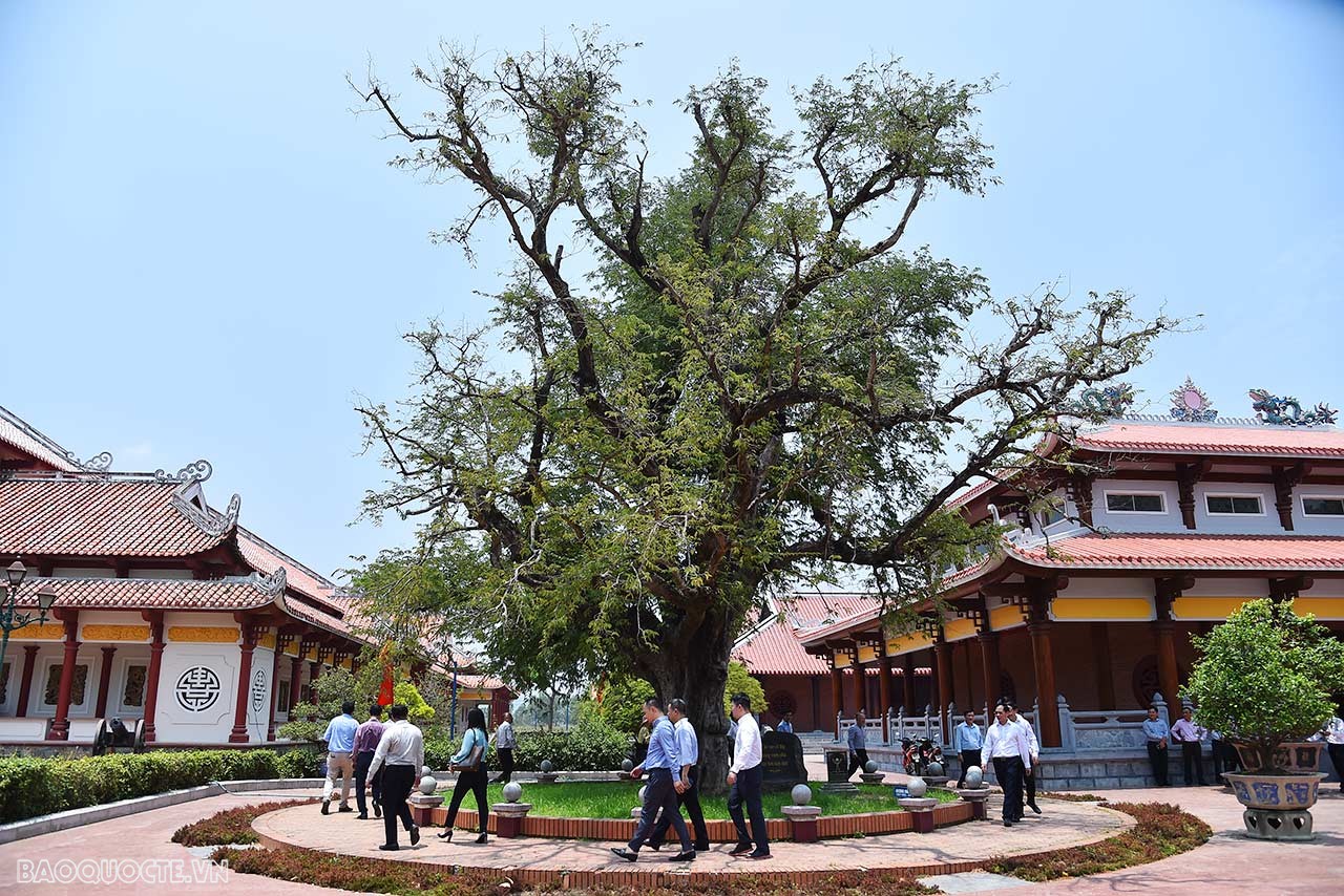 Bộ trưởng Ngoại giao Bùi Thanh Sơn dâng hương tại Bảo tàng Quang Trung, thăm làm việc tại VSIP Bình Định và 2 trung tâm khoa học