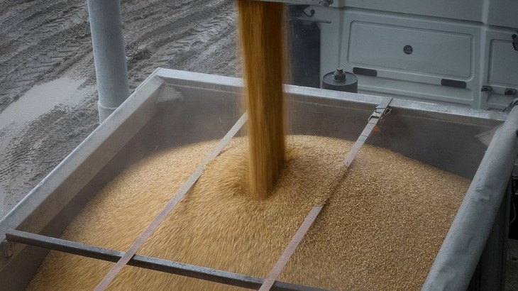 LHQ kêu gọi Nga trở lại bàn đàm phán thỏa thuận ngũ cốc, Ukraine nói Ba Lan thực hiện bước đi 'không thân thiện'