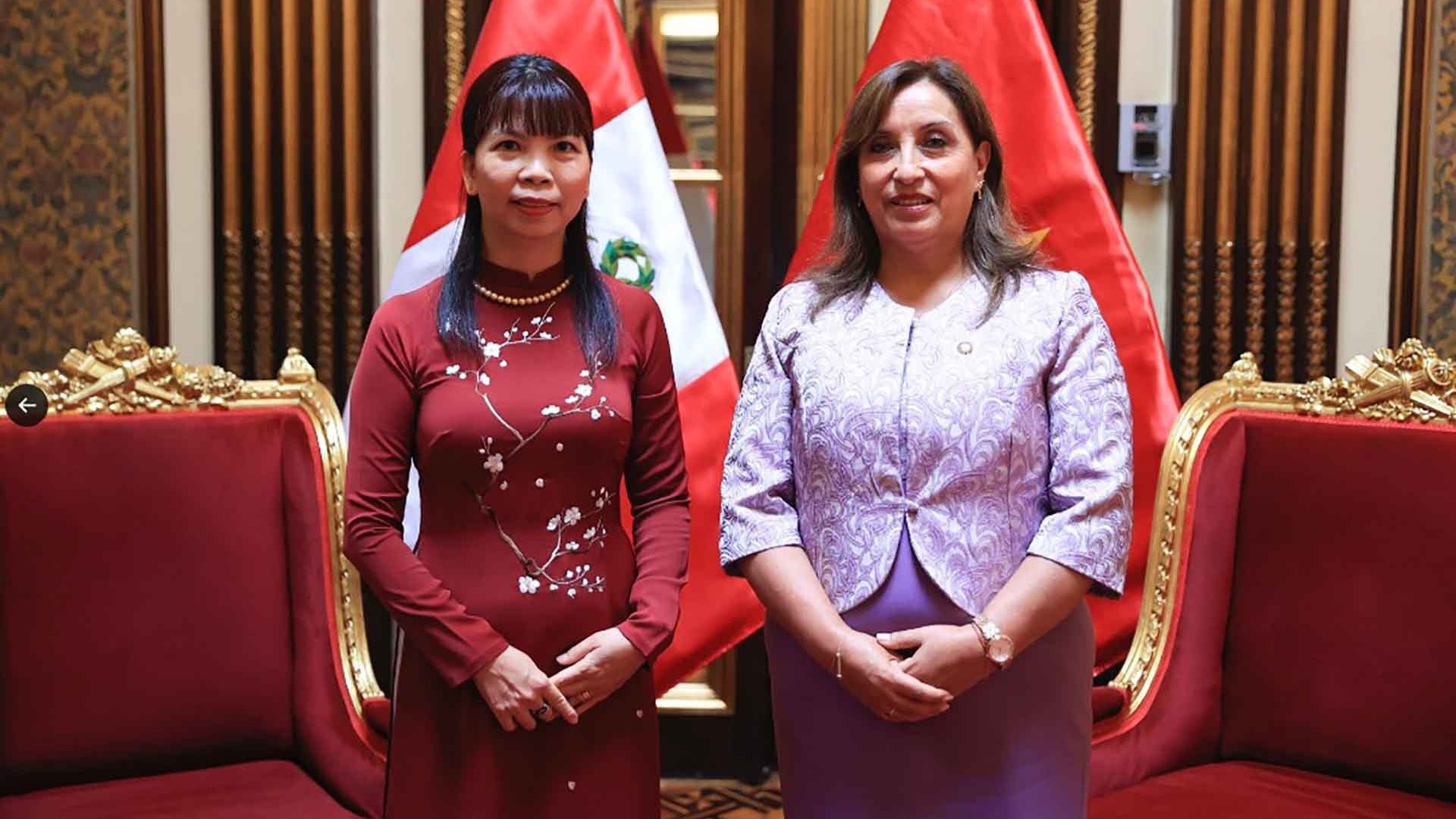 Tăng cường thúc đẩy quan hệ hữu nghị và hợp tác Việt Nam-Peru