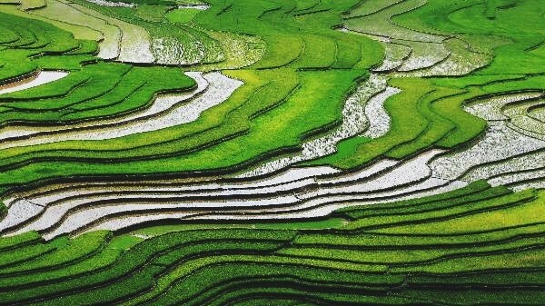 Đến Mù Cang Chải, trải nghiệm 'Mùa nước đổ' dịp nghỉ lễ 30/4-1/5