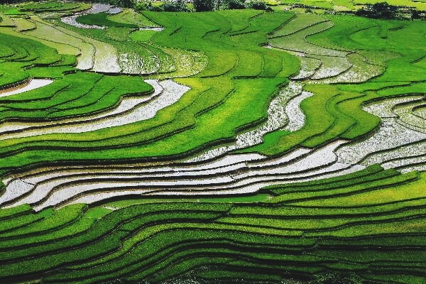 Nghỉ lễ 30/4-1/5: Đến Mù Cang Chải, ngắm mùa nước đổ