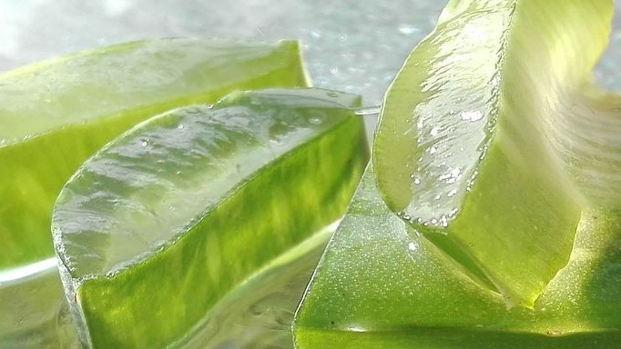 Những loại mỹ phẩm cơ bản cần thiết cho một chuyến du lịch mùa Hè