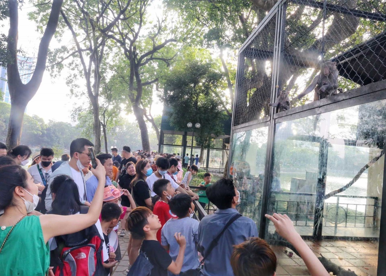 Dịp nghỉ lễ 30/4-1/5, công viên Thủ Lệ thu hút hàng nghìn lượt khách/ngày