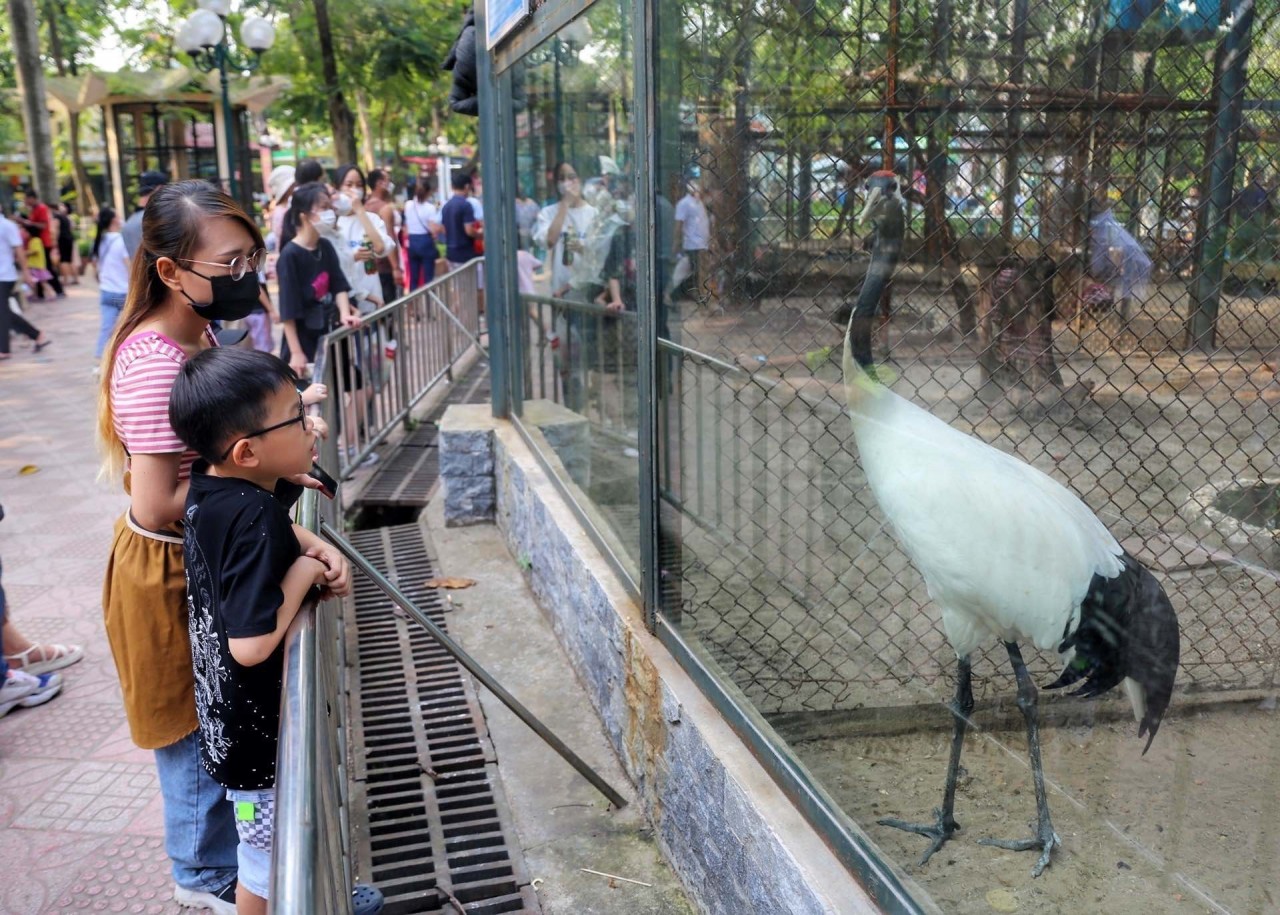 Dịp nghỉ lễ 30/4-1/5, công viên Thủ Lệ thu hút hàng nghìn lượt khách/ngày