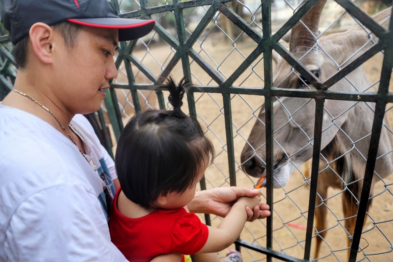 Dịp nghỉ lễ 30/4-1/5, công viên Thủ Lệ thu hút hàng nghìn lượt khách/ngày