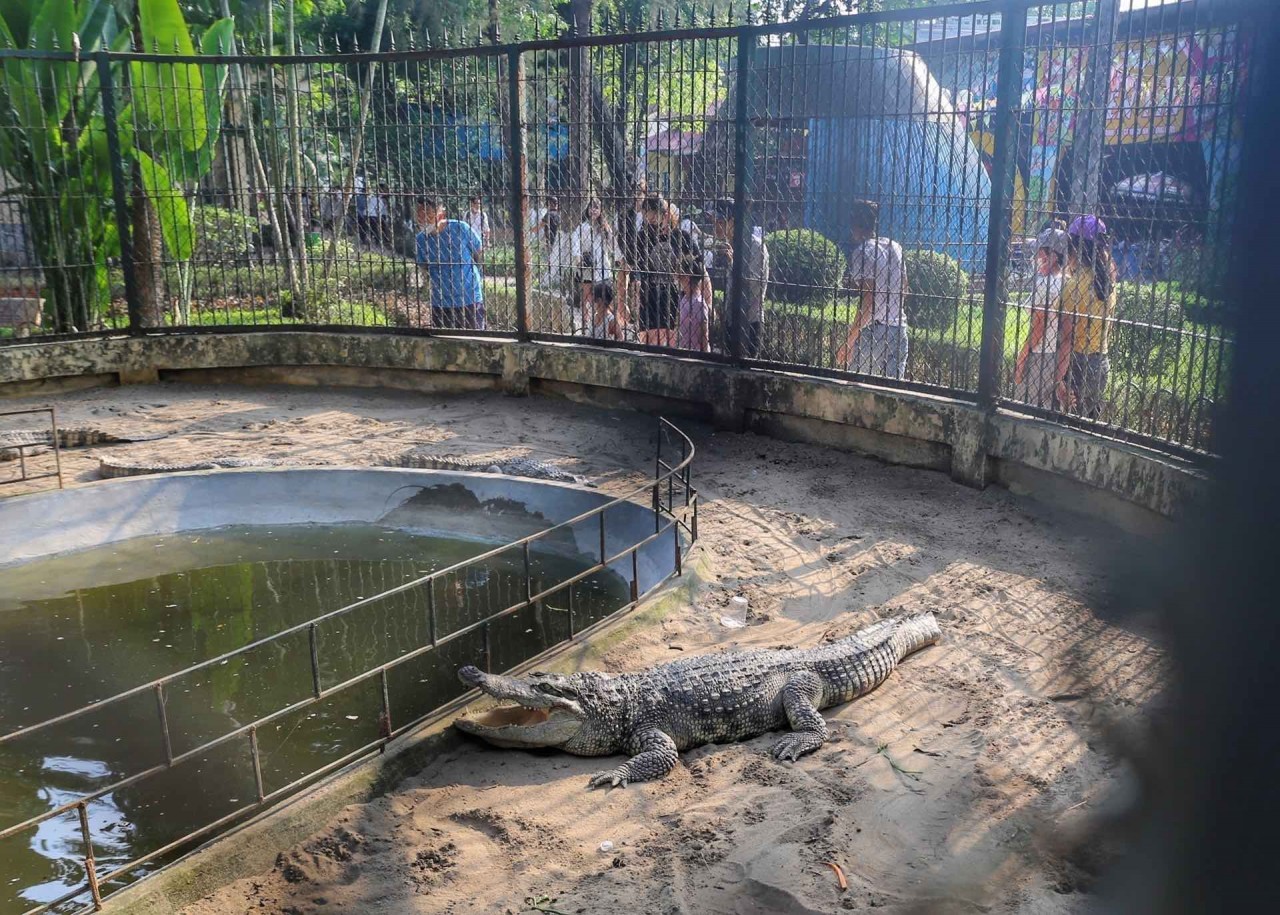 Dịp nghỉ lễ 30/4-1/5, công viên Thủ Lệ thu hút hàng nghìn lượt khách/ngày