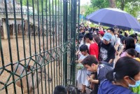 Dịp nghỉ lễ 30/4-1/5, công viên Thủ Lệ thu hút hàng nghìn lượt khách/ngày