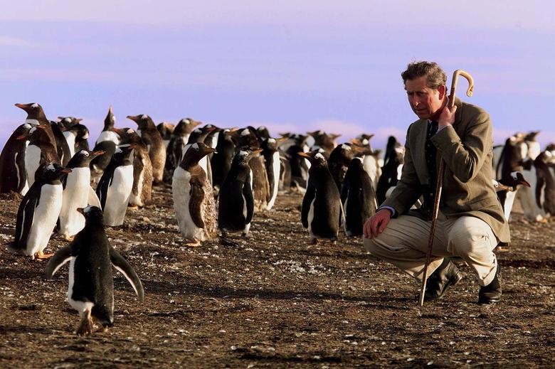 Cuộc đời của Vua Charles III: Từ hoàng tử bé đến ngai vàng