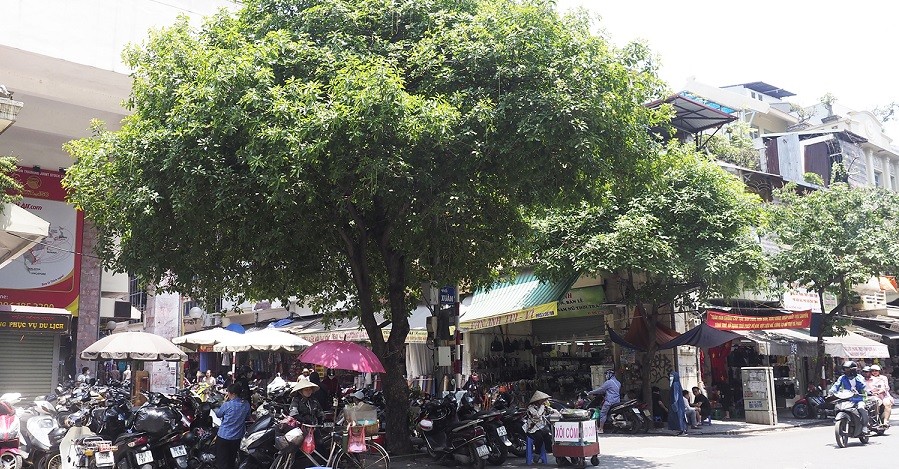 Dự báo thời tiết đêm nay và ngày mai (5-6/5): Hà Nội, Bắc Bộ, Trung Bộ, Nam Bộ nắng nóng gay gắt; Tây Bắc, Bắc Trung Bộ nắng nóng đặc biệt gay gắt