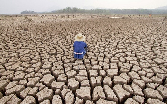 Biến đổi khí hậu: Các trận hạn hán ngắn sẽ xảy ra thường xuyên hơn. (Nguồn: BusinessLive)