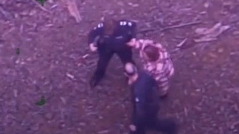 Nhờ có rượu vang và kẹo mút, người phụ nữ may mắn sống sót sau 5 ngày lạc trong rừng rậm