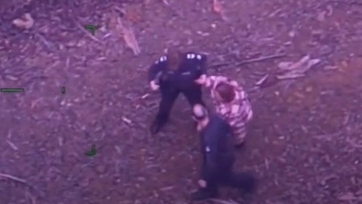 Đi lạc trong rừng rậm, người phụ nữ sống sót sau 5 ngày nhờ rượu vang và kẹo mút mang theo