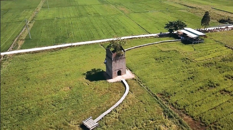 Khai phá tiềm năng bất động sản du lịch nông nghiệp Việt Nam