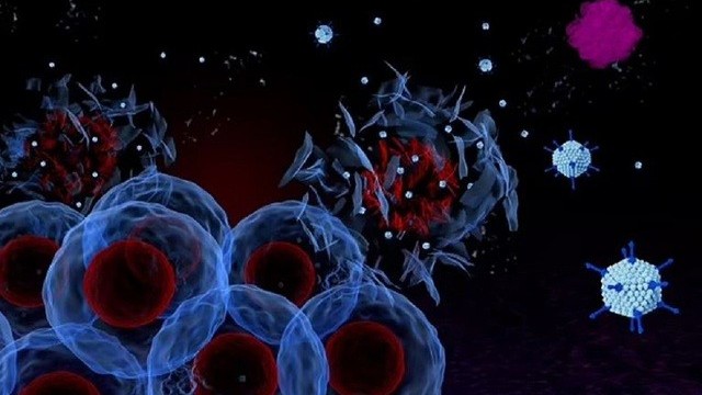 Nhật Bản: Phân lập vi khuẩn trong khối u có hiệu quả chống ung thư mạnh mẽ