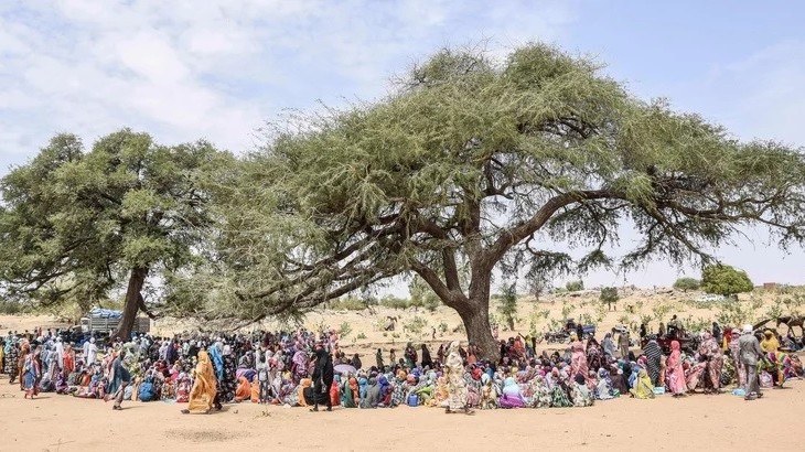 Xung đột Sudan: Mỹ cân nhắc trừng phạt thích hợp, Liên hợp quốc nhờ sự chung tay quốc tế