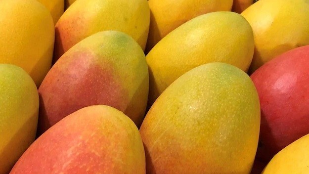 Những thực phẩm giải khát tốt nhưng sẽ gây tăng cân nếu ăn nhiều trong mùa Hè