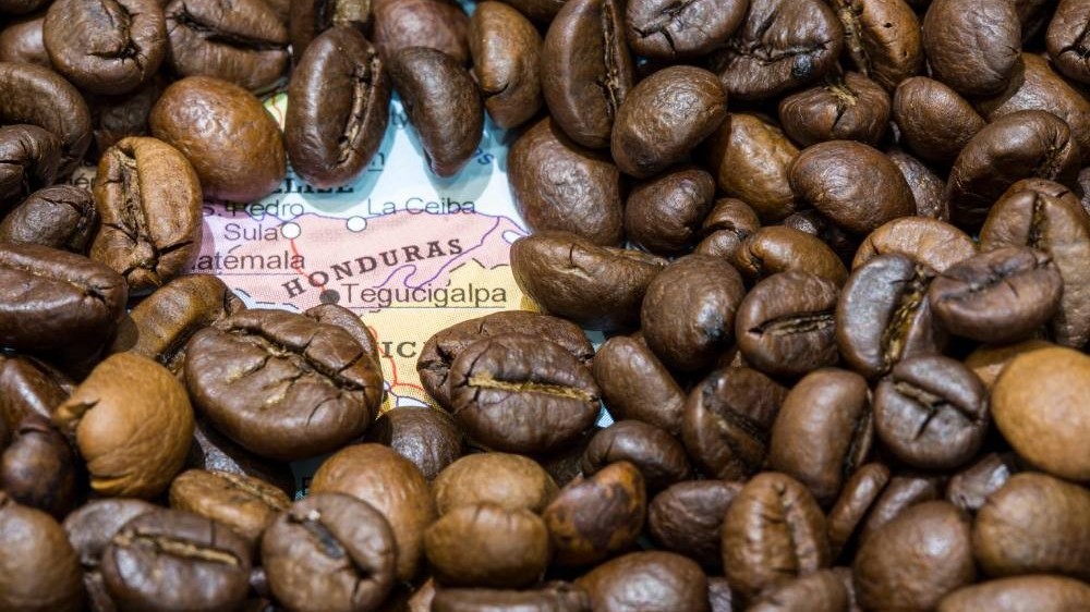 Một quốc gia Trung Mỹ tìm cách 'xâm nhập' thị trường Trung Quốc, nỗ lực đem về thỏa thuận thương mại tự do