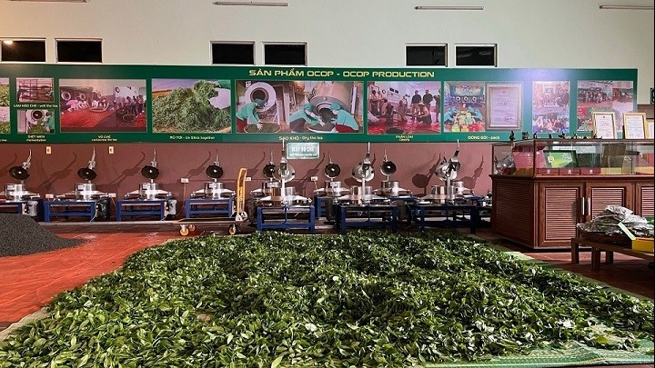 'Tấm vé xuất ngoại' cho nông sản Việt