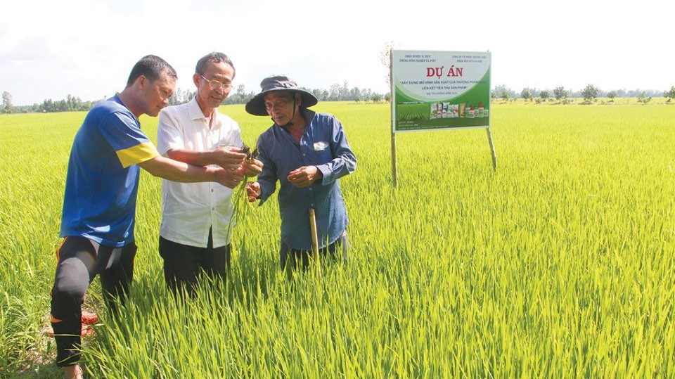 Huyện Vị Thủy: Tự tin 'cất cánh' sau hơn 24 năm thành lập