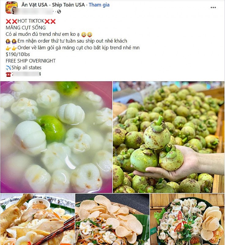 Không chỉ hot trong nước, Măng cụt xanh Việt Nam đi máy bay sang Mỹ, giá gần 3 triệu đồng/kg Không chỉ hot trong nước, Măng cụt xanh Việt Nam đi máy bay sang Mỹ, giá gần 3 triệu đồng/kg