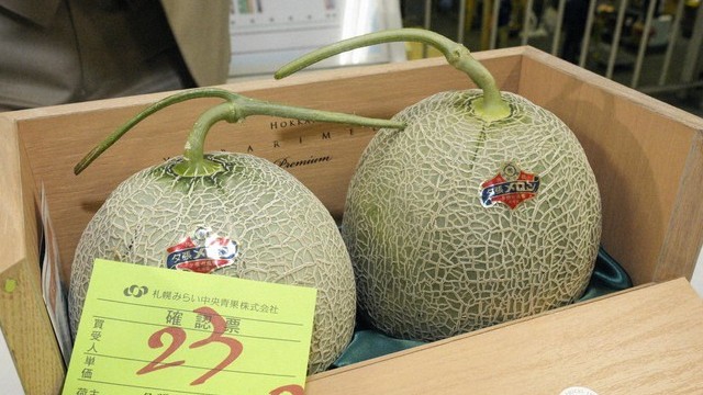 Nhật Bản: Cặp dưa lưới chất lượng cao được bán đấu giá 25.000 USD