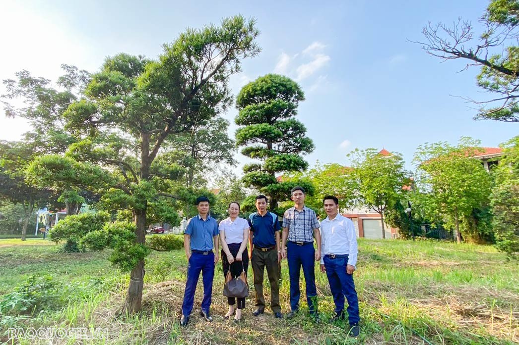 Ngay sau buổi lễ, các đại diện các địa phương đã đến vườn trồng cây tùng la hán của Công ty Cổ phần Zouen tại Mê Linh, Vĩnh Phúc để nhận cây. Zouen là công ty hoạt động trong lĩnh vực thiết kế, thi công sân vườn kiểu Nhật truyền thống, có trụ sở tại TP Kitakyushu - địa phương kết nghĩa với TP Hải Phòng. Được biết, các cây tùng la hán trao tặng lần này đều có tuổi đời trên 100 năm. Ngay sau buổi lễ, các đại diện các địa phương đã đến vườn trồng cây tùng la hán của Công ty Cổ phần Zouen tại Mê Linh, Vĩnh Phúc để nhận cây. Zouen là công ty hoạt động trong lĩnh vực thiết kế, thi công sân vườn kiểu Nhật truyền thống, có trụ sở tại TP Kitakyushu - địa phương kết nghĩa với TP Hải Phòng. Được biết, các cây tùng la hán trao tặng lần này đều có tuổi đời trên 100 năm.