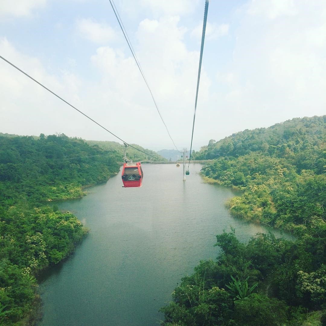 Trôi trong sương mù