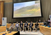 UNDP - Đối tác quan trọng và tin cậy của Việt Nam trên con đường phát triển và hội nhập