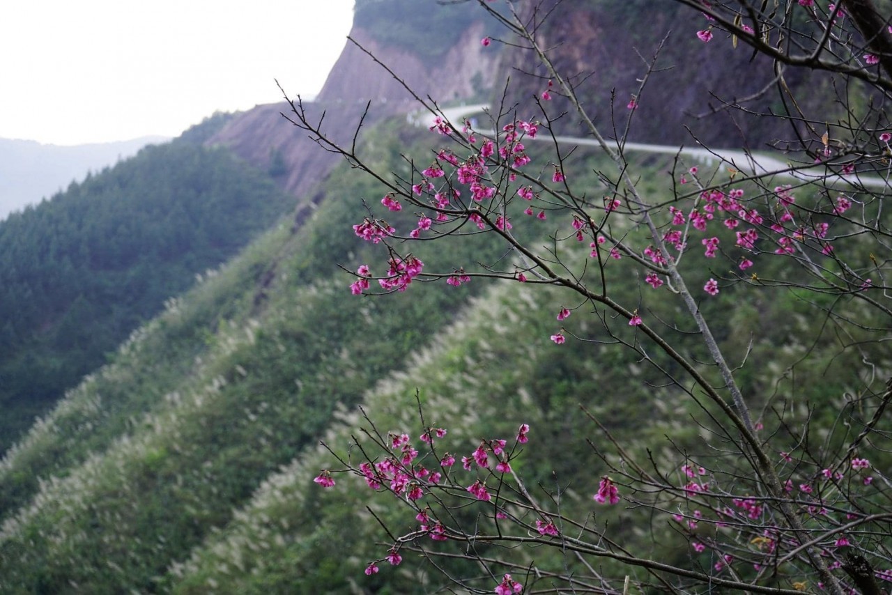 Bình Liêu: Vùng đất được thiên nhiên ưu ái Bình Liêu: Vùng đất được thiên nhiên ưu ái