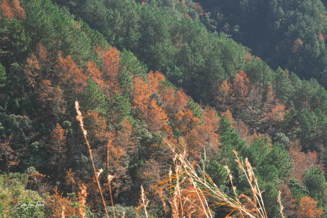 Bình Liêu: Vùng đất được thiên nhiên ưu ái Bình Liêu: Vùng đất được thiên nhiên ưu ái