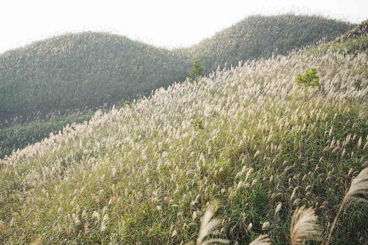 Bình Liêu: Vùng đất được thiên nhiên ưu ái Bình Liêu: Vùng đất được thiên nhiên ưu ái