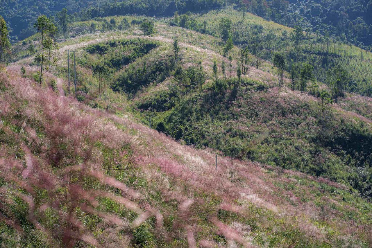Bình Liêu: Vùng đất được thiên nhiên ưu ái Bình Liêu: Vùng đất được thiên nhiên ưu ái