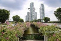 Dự báo thời tiết 10 ngày tới (15-24/7): Nhiều khu vực chiều tối mưa vừa, mưa to đến rất to; Bắc Bộ và Bắc Trung Bộ nắng nóng diện rộng