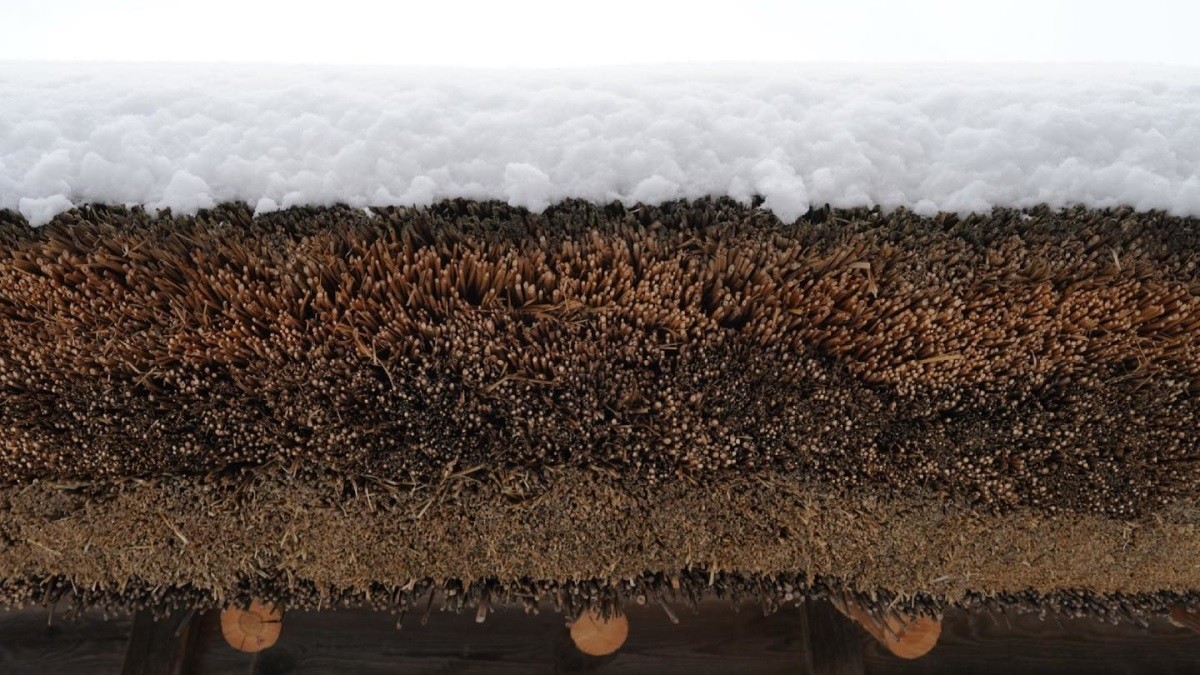 Nhật Bản: Ngôi làng cổ