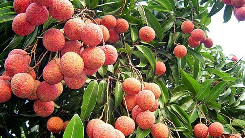 7 tháng đầu năm 2023, kim ngạch xuất khẩu hàng hóa giảm 10,6%