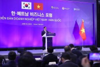 Diễn đàn Doanh nghiệp Việt Nam-Hàn Quốc: Thúc đẩy quan hệ hợp tác kinh tế, đầu tư giữa hai nước
