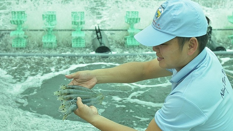 Xuất khẩu ngày 24-26/6: Standard Chartered dự báo xuất khẩu của Việt Nam đạt 618 tỷ USD năm 2030; 'bắt bệnh' cho tôm Việt