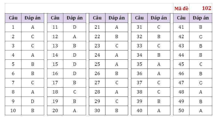 Đáp án tham khảo môn Toán thi tốt nghiệp THPT 2023 Đáp án tham khảo môn Toán thi tốt nghiệp THPT 2023
