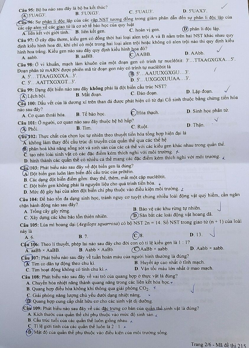 Đề thi chính thức môn Sinh học kỳ thi tốt nghiệp THPT 2023