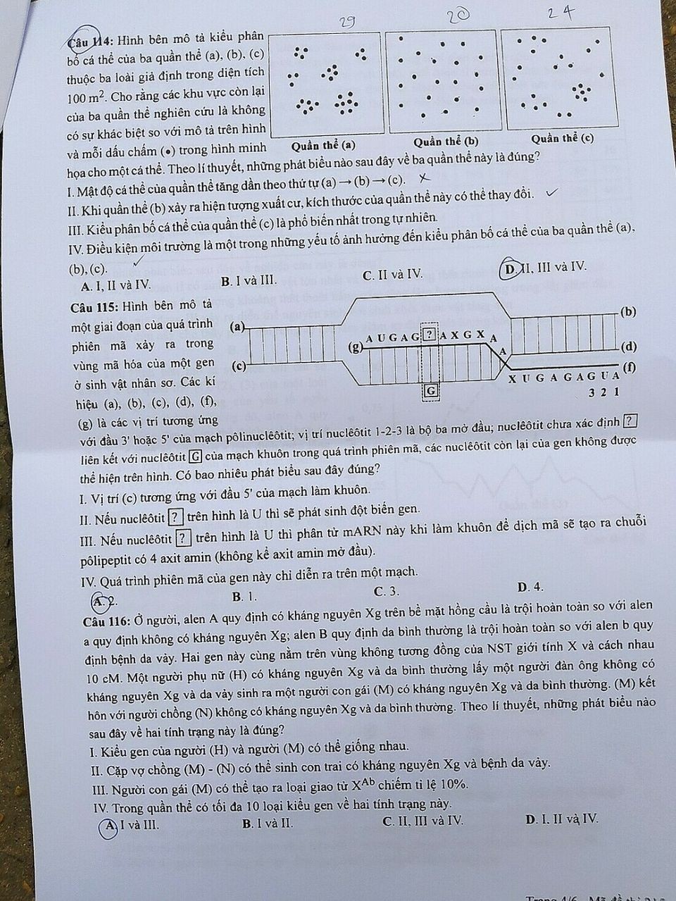 Đề thi chính thức môn Sinh học kỳ thi tốt nghiệp THPT 2023