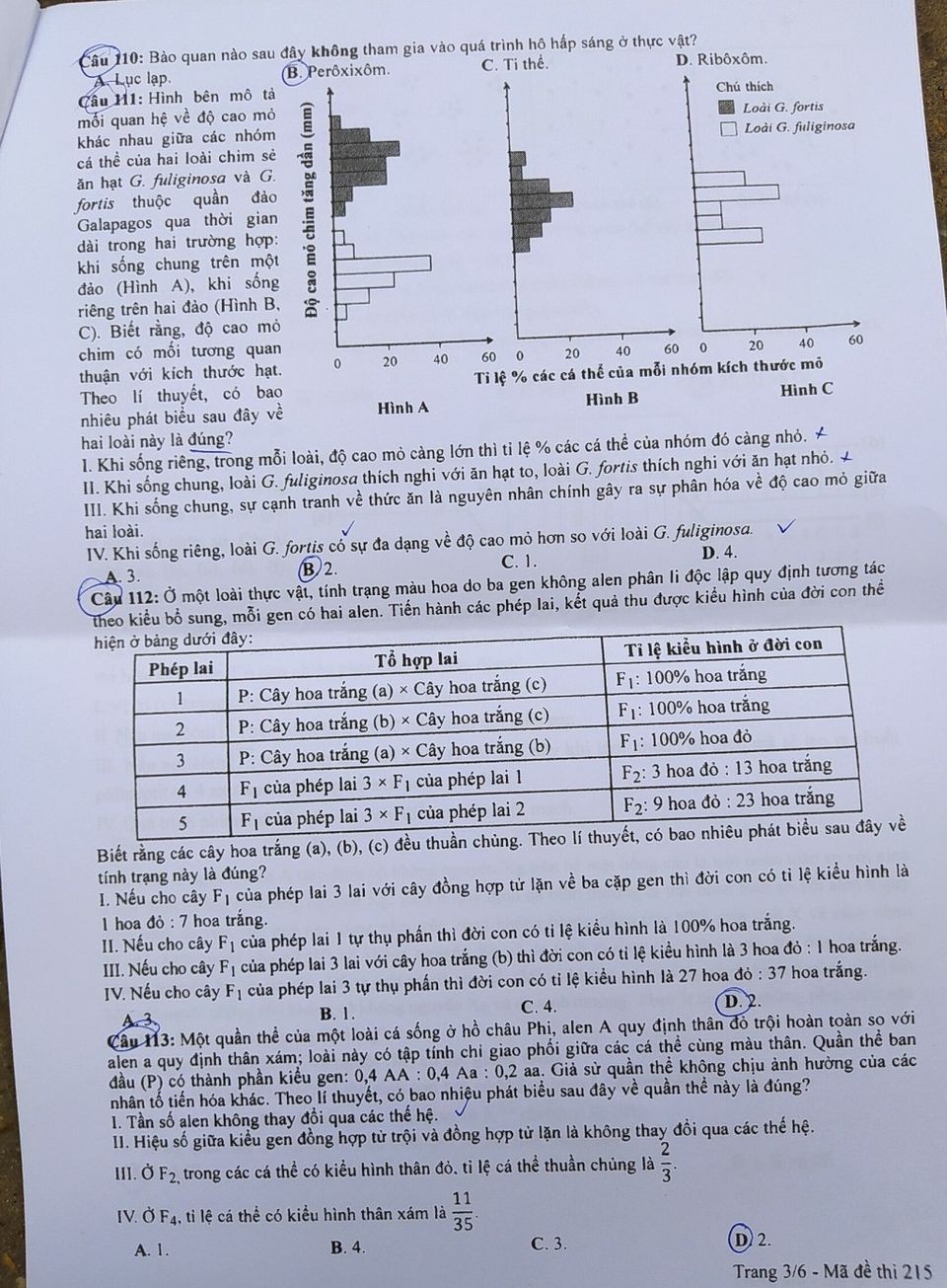 Đề thi chính thức môn Sinh học kỳ thi tốt nghiệp THPT 2023