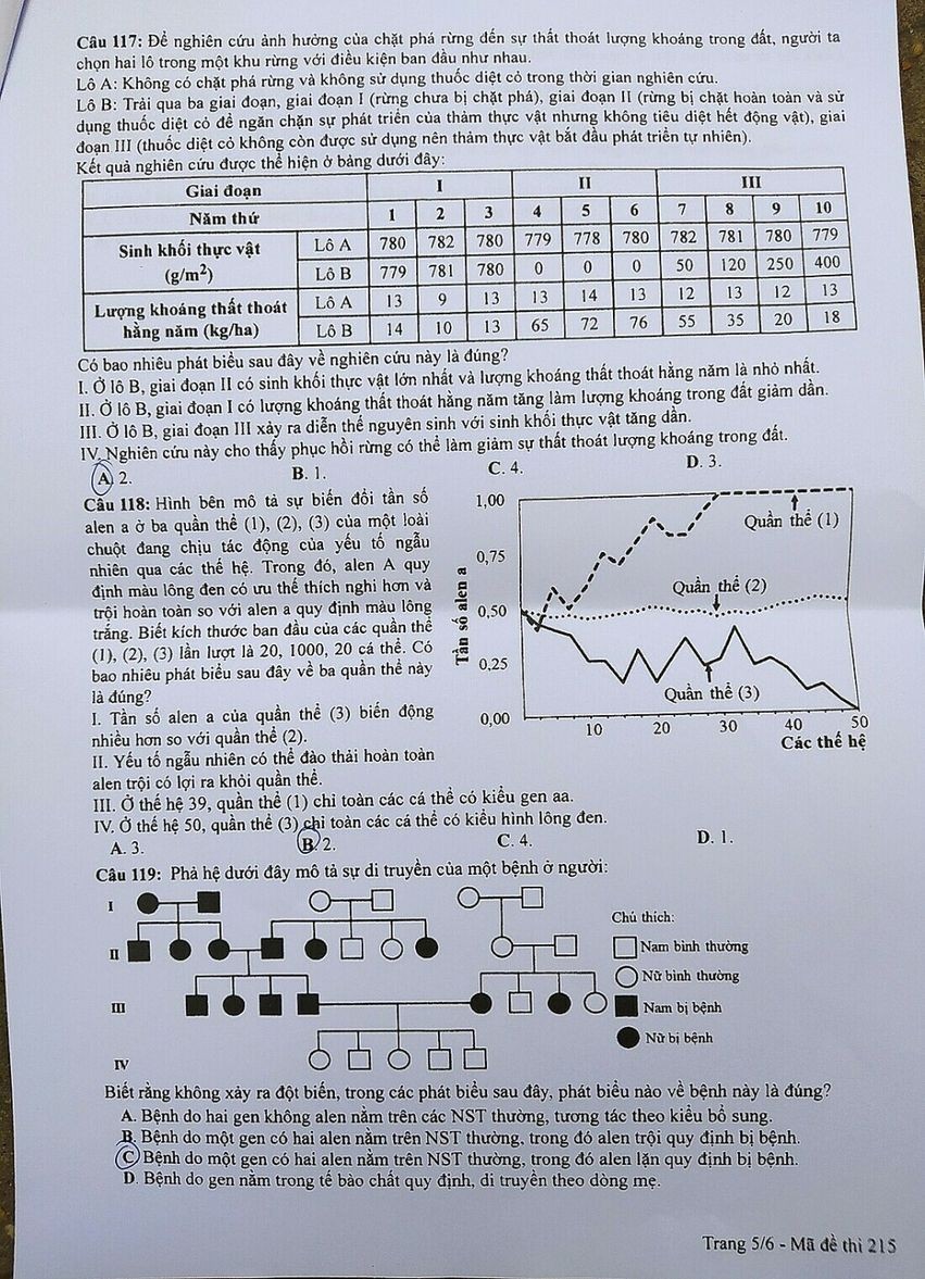 Đề thi chính thức môn Sinh học kỳ thi tốt nghiệp THPT 2023