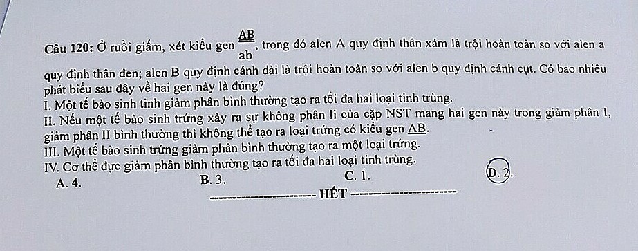 Đề thi chính thức môn Sinh học kỳ thi tốt nghiệp THPT 2023