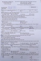 Đề thi chính thức môn Sinh học kỳ thi tốt nghiệp THPT 2023