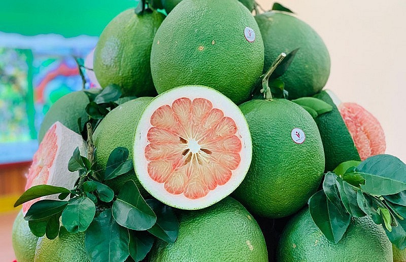 Xuất khẩu ngày 26-30/6: Xuất khẩu ngày 26-30/6: Đề xuất Hàn Quốc sớm mở cửa thị trường cho bưởi, thịt gà chế biến; thép Việt 'gặp khó' khi vào EU