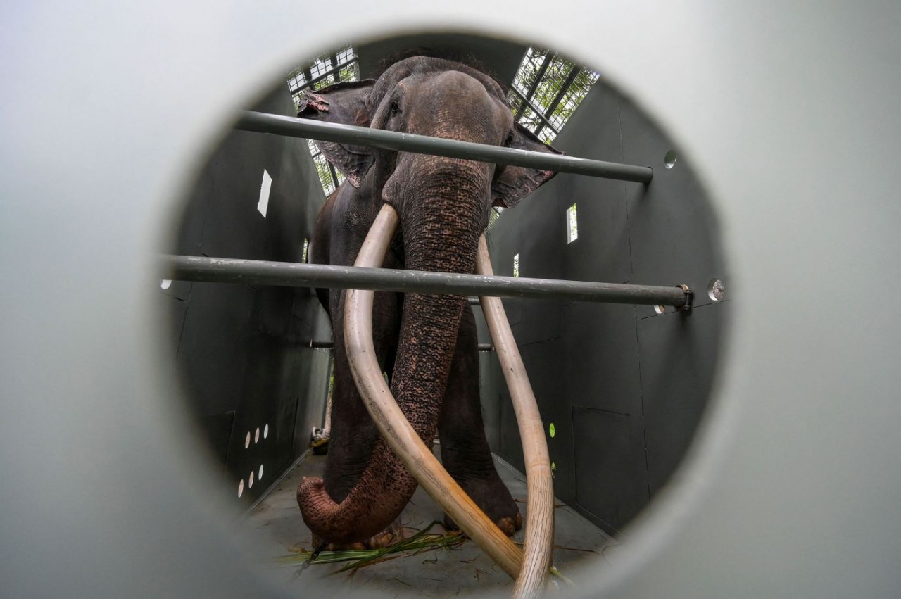 Ảnh ấn tượng (26/6 2/7): Tổng thống Nga Putin cảm ơn vì ngăn ‘cuộc nội chiến’, Ukraine bắn pháo phản lực huyền thoại thời Liên Xô, cháy rừng ở Canada